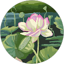 Mireille profile picture